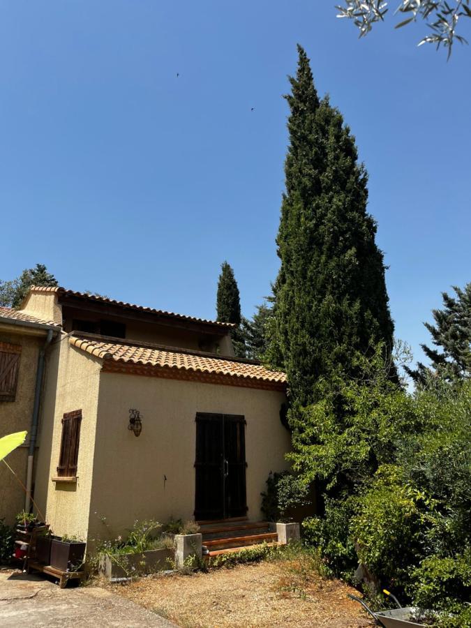 Bed and Breakfast Le Mazet De Choubouloute Saint-Gilles  Esterno foto