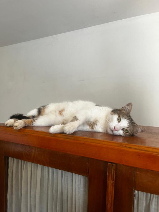 Bed and Breakfast Le Mazet De Choubouloute Saint-Gilles  Esterno foto